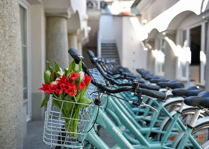 Cha Cha Πανσιόν