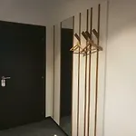 Cha Cha 卢布尔雅那